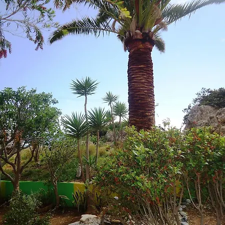 Aris Boutique Hotel Palaiochora