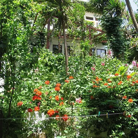 Aris Boutique 3* Палеохора